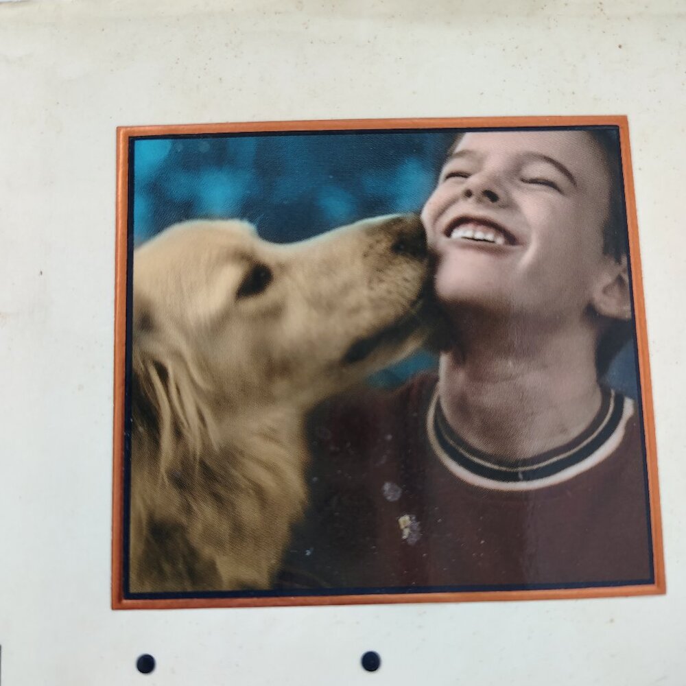 "Bringing up BOYS "Dr. James Dobson Book "Teaching Boys to be Men"